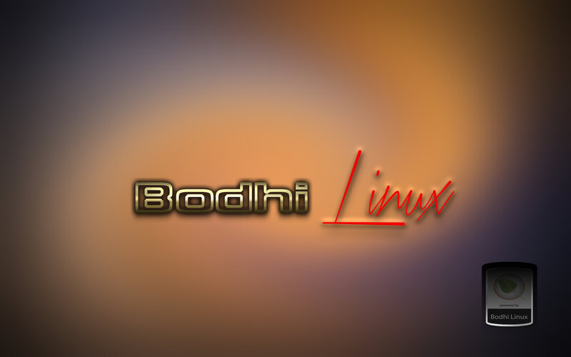 Bodhi Linux Logo