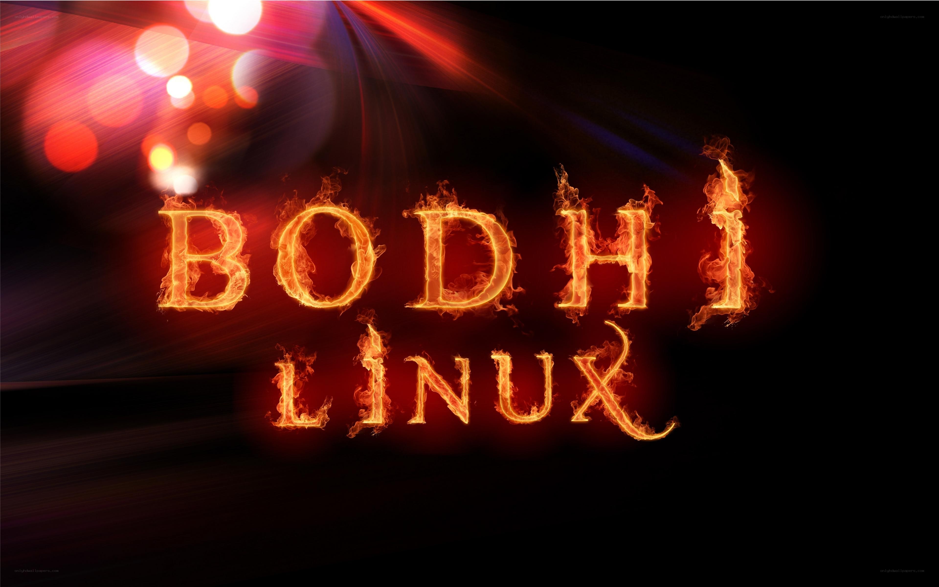 Bodhi Linux logo with fire effect