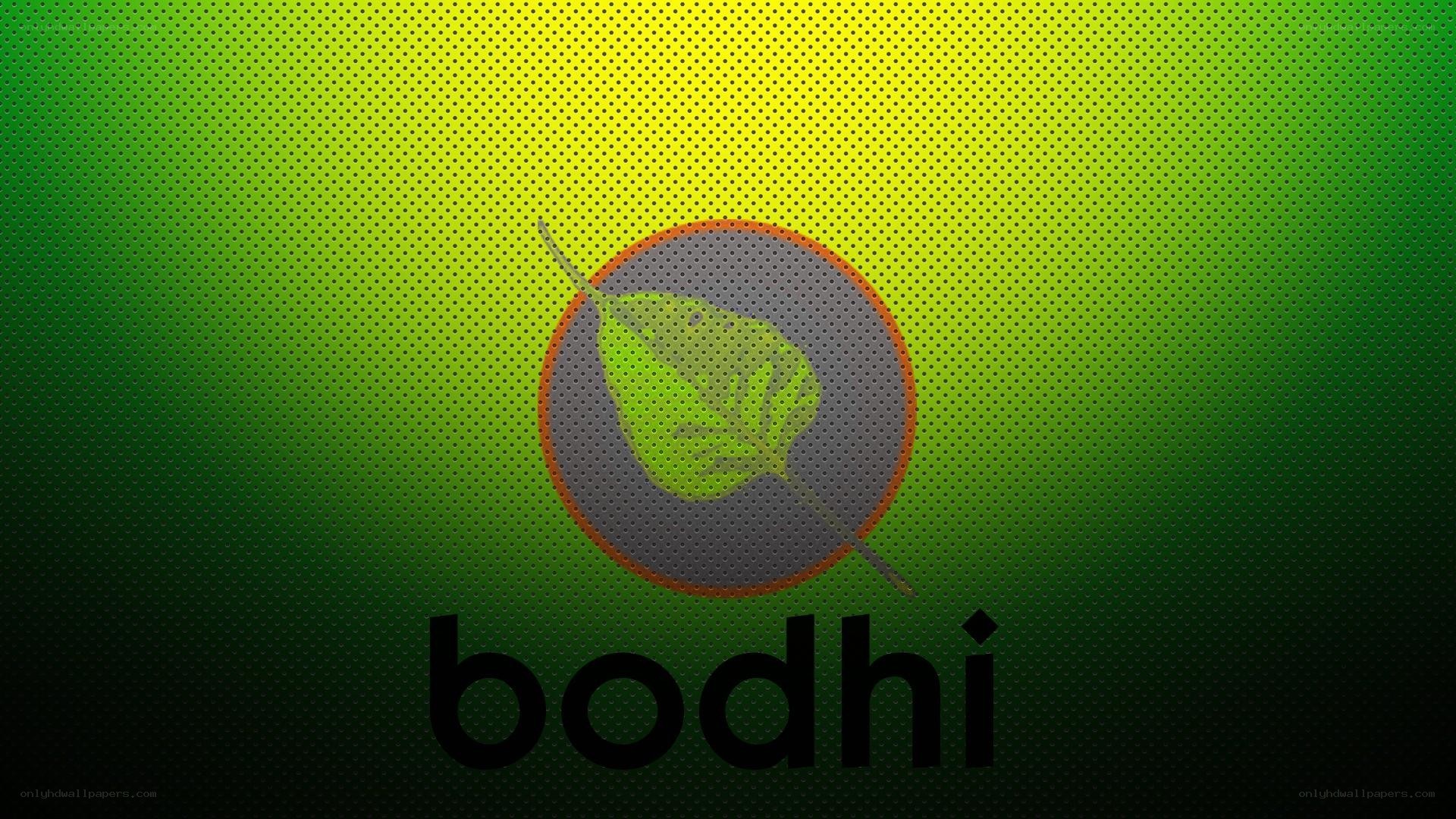 Bodhi logo on green background