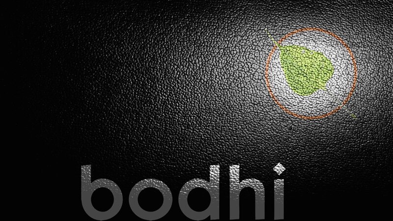 Bodhi logo on textured background