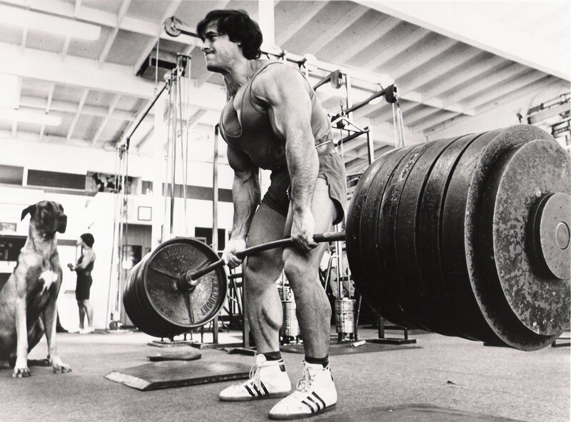 bodybuilder lifting weights