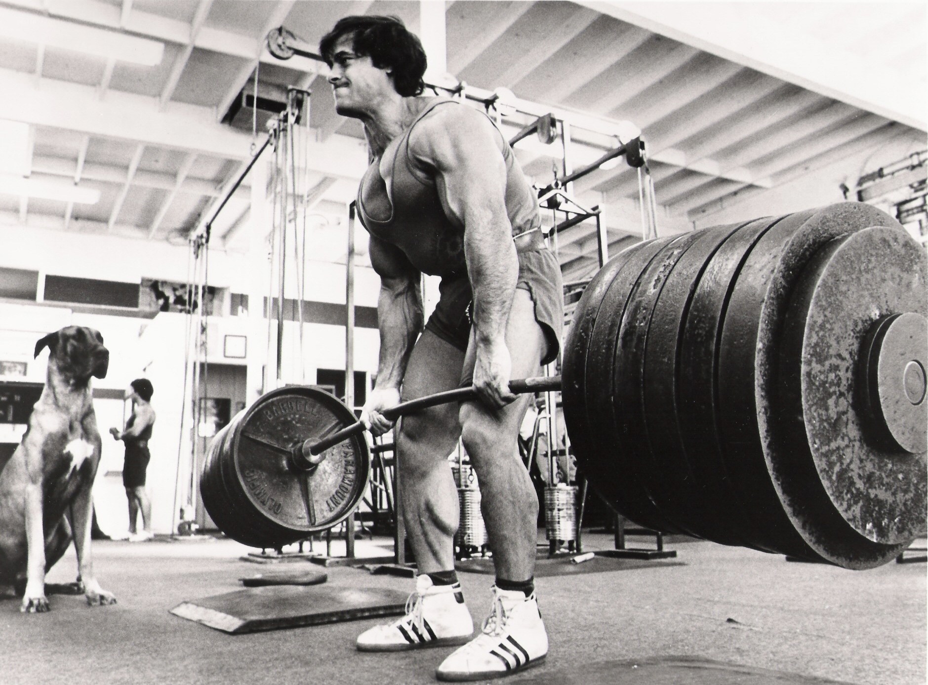 bodybuilder lifting weights
