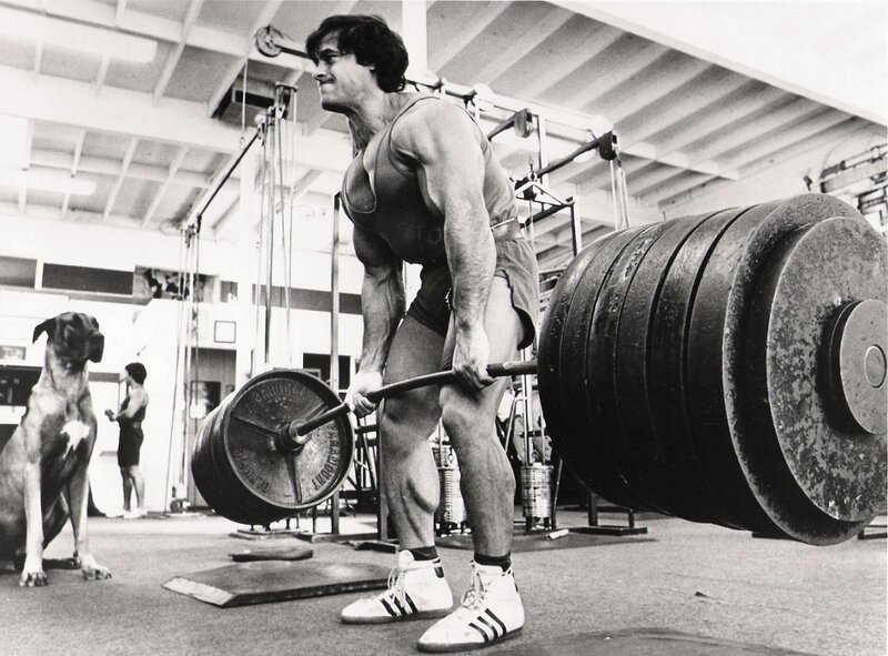 bodybuilder lifting weights