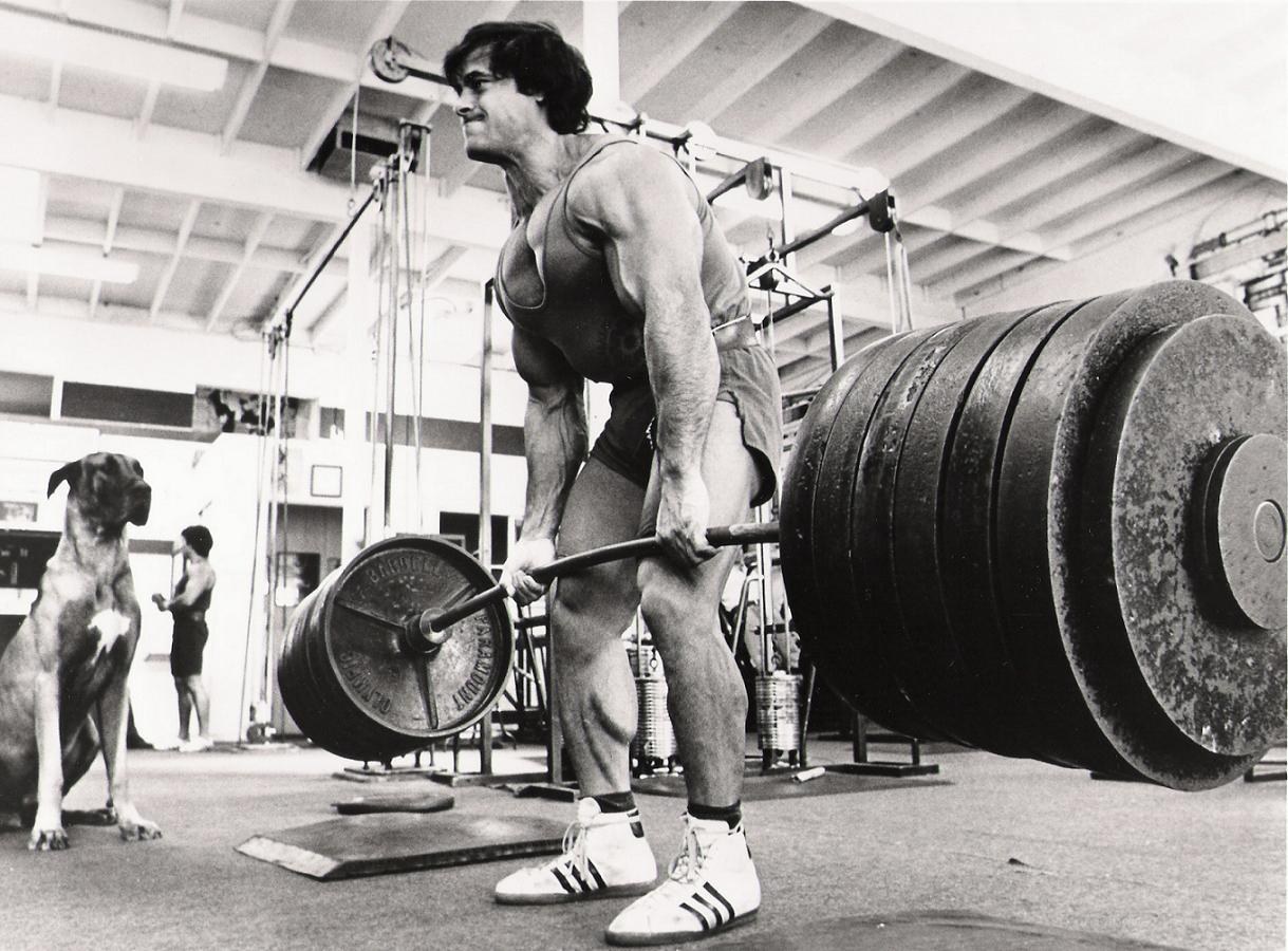 bodybuilder lifting weights