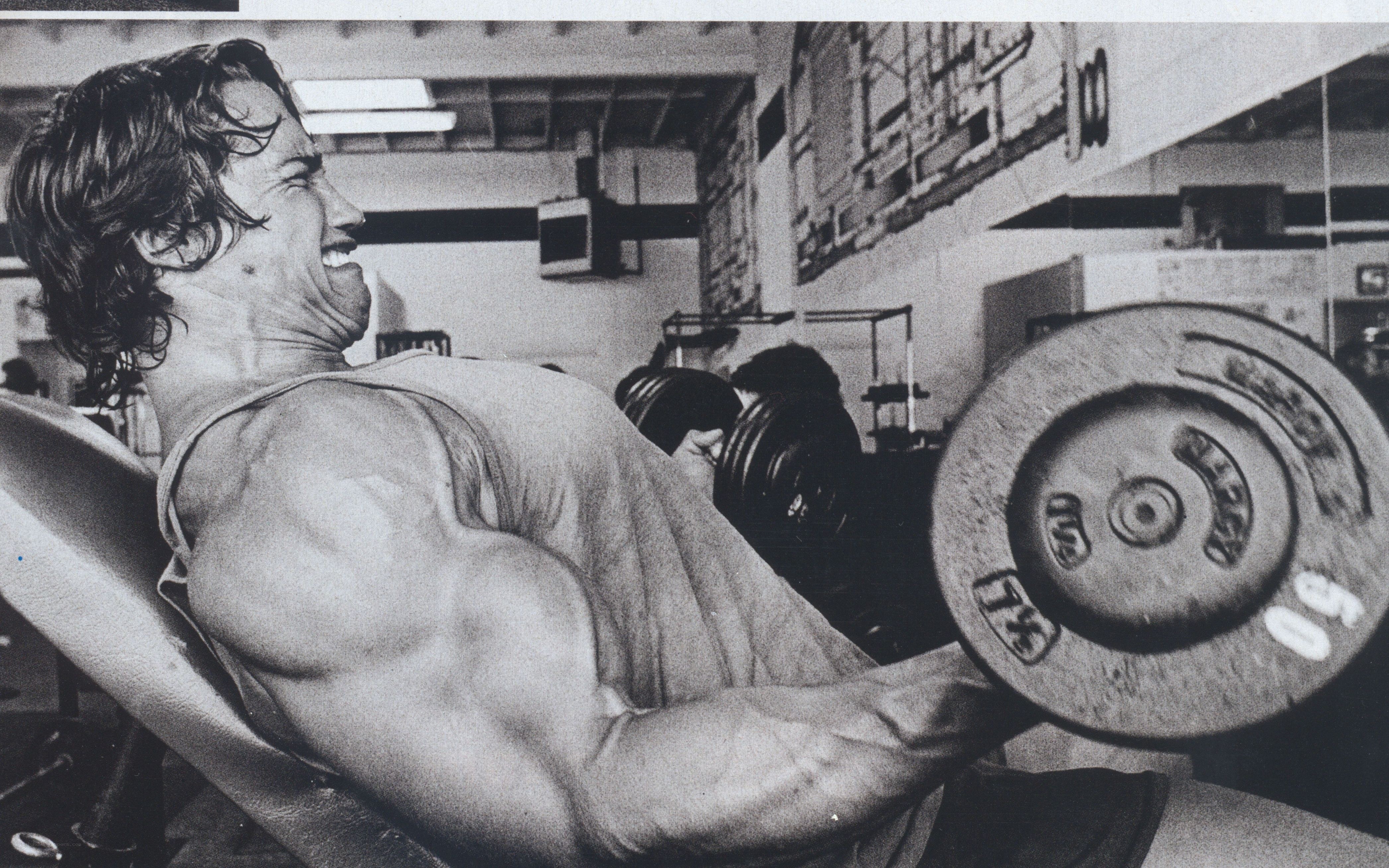 bodybuilder lifting weights