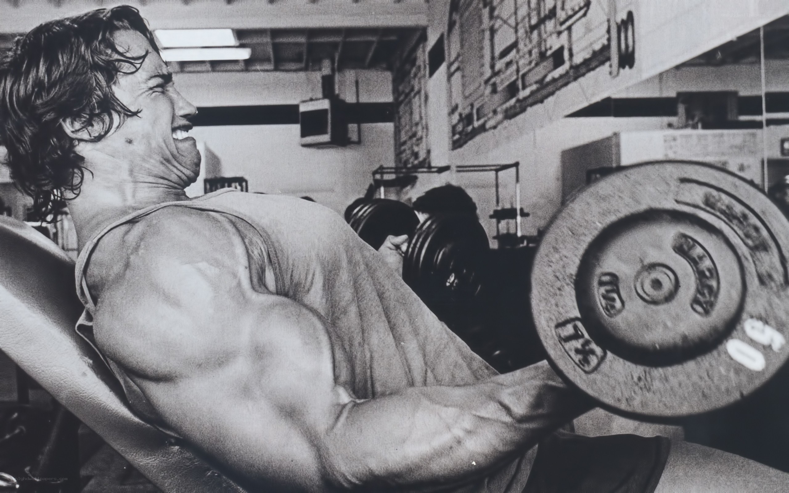 bodybuilder lifting weights