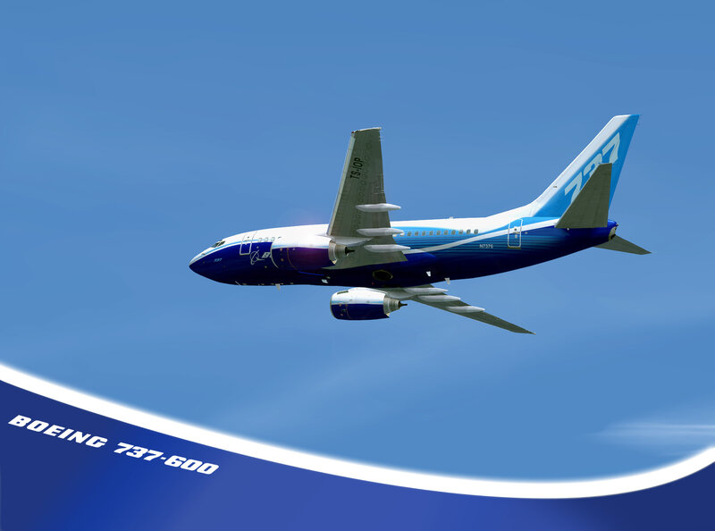 Boeing 737-600 Airplane