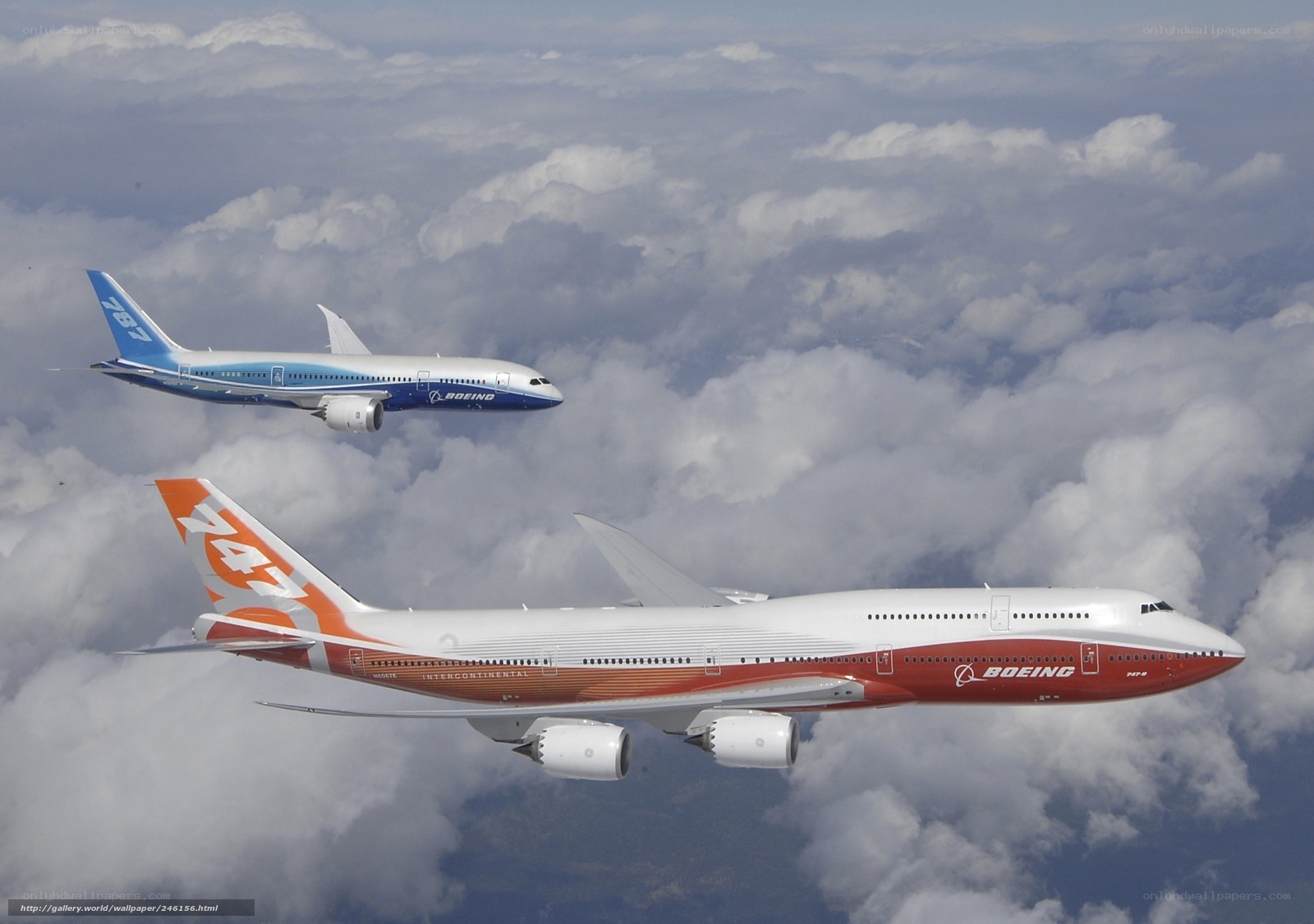 Boeing 747 and 787 in flight
