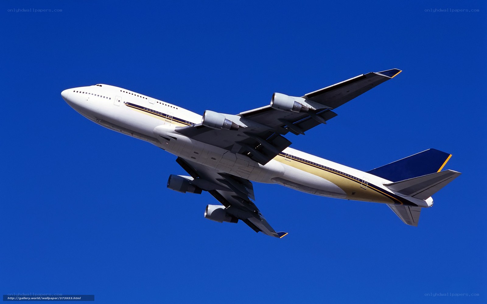 Boeing 747 in flight