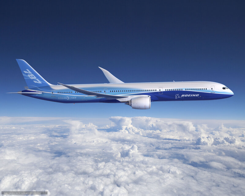 Boeing 787 Dreamliner — Blue, Serene, Afternoon, Photograph, Airplane