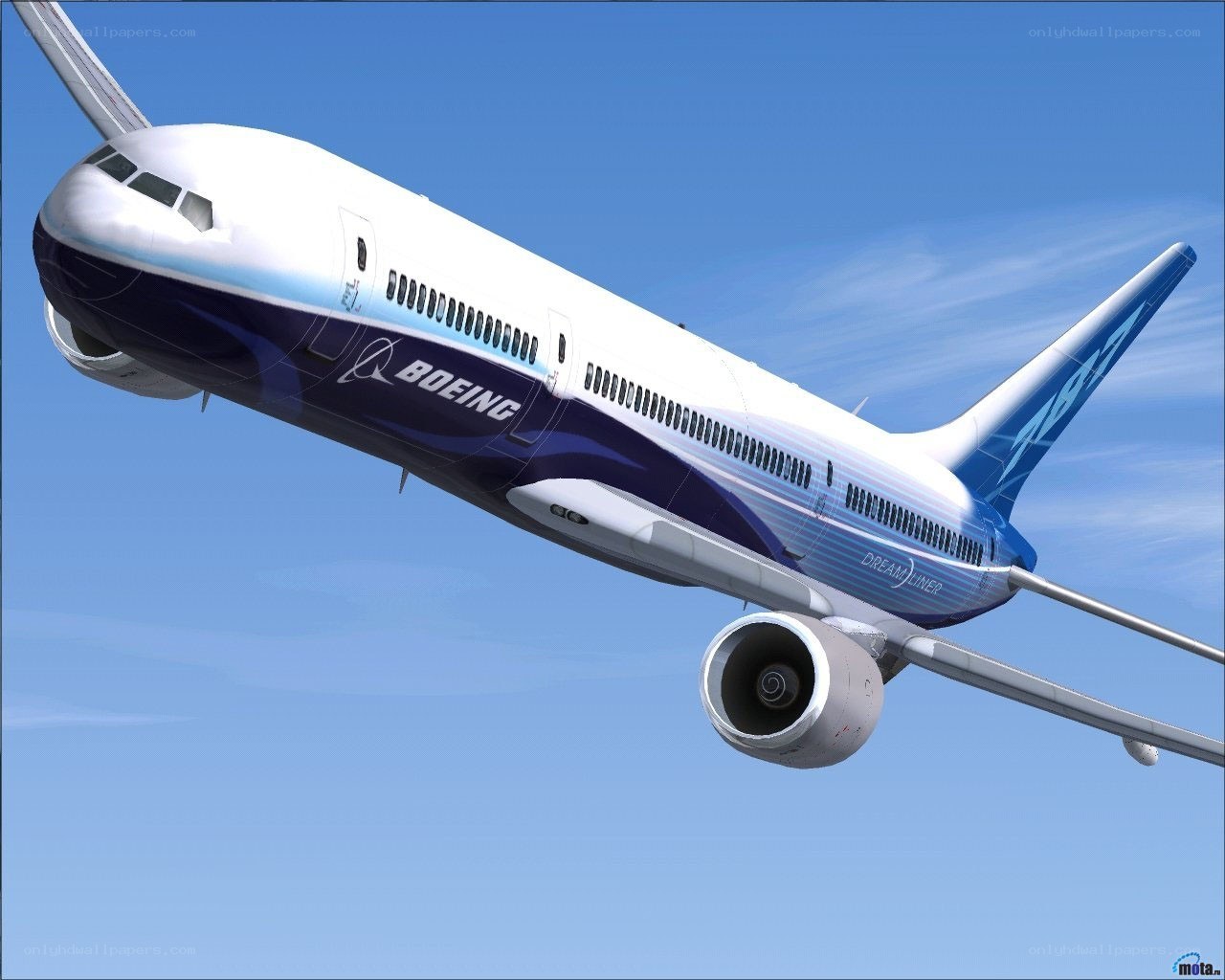 Boeing 787 Dreamliner in flight