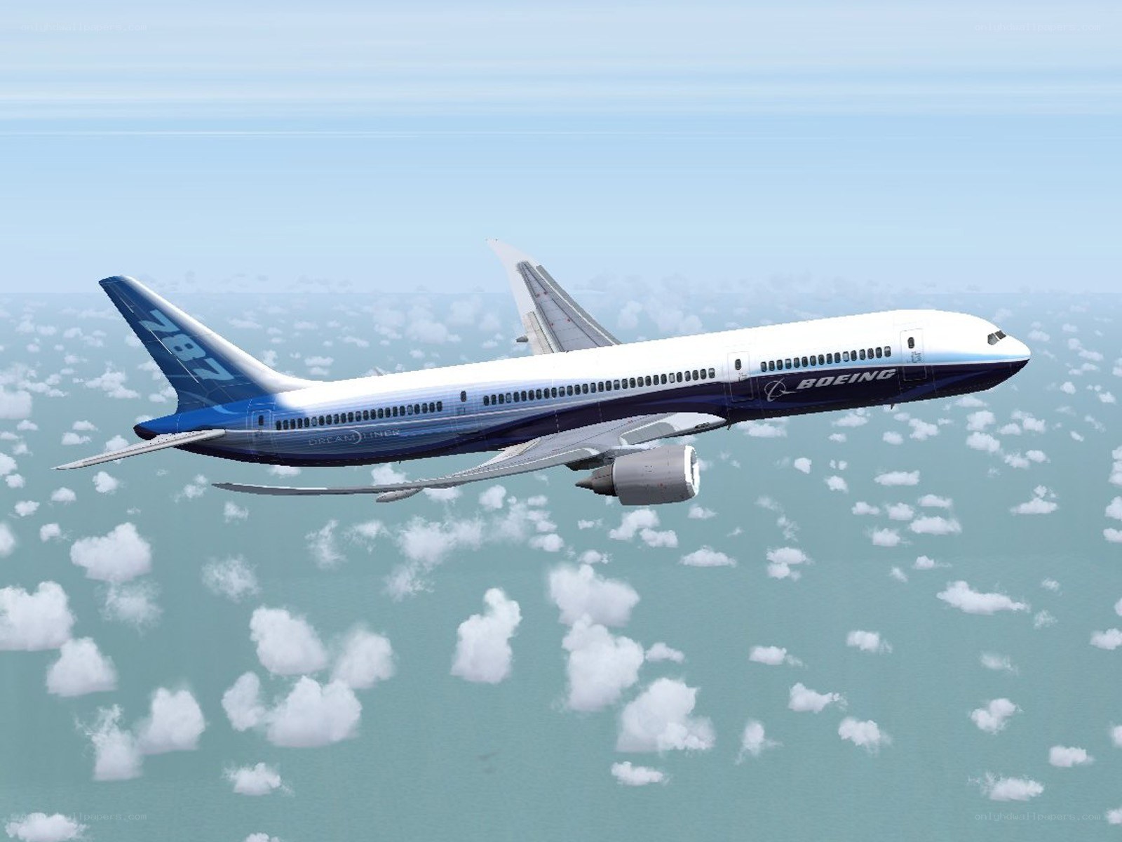 Boeing 787 Dreamliner in flight