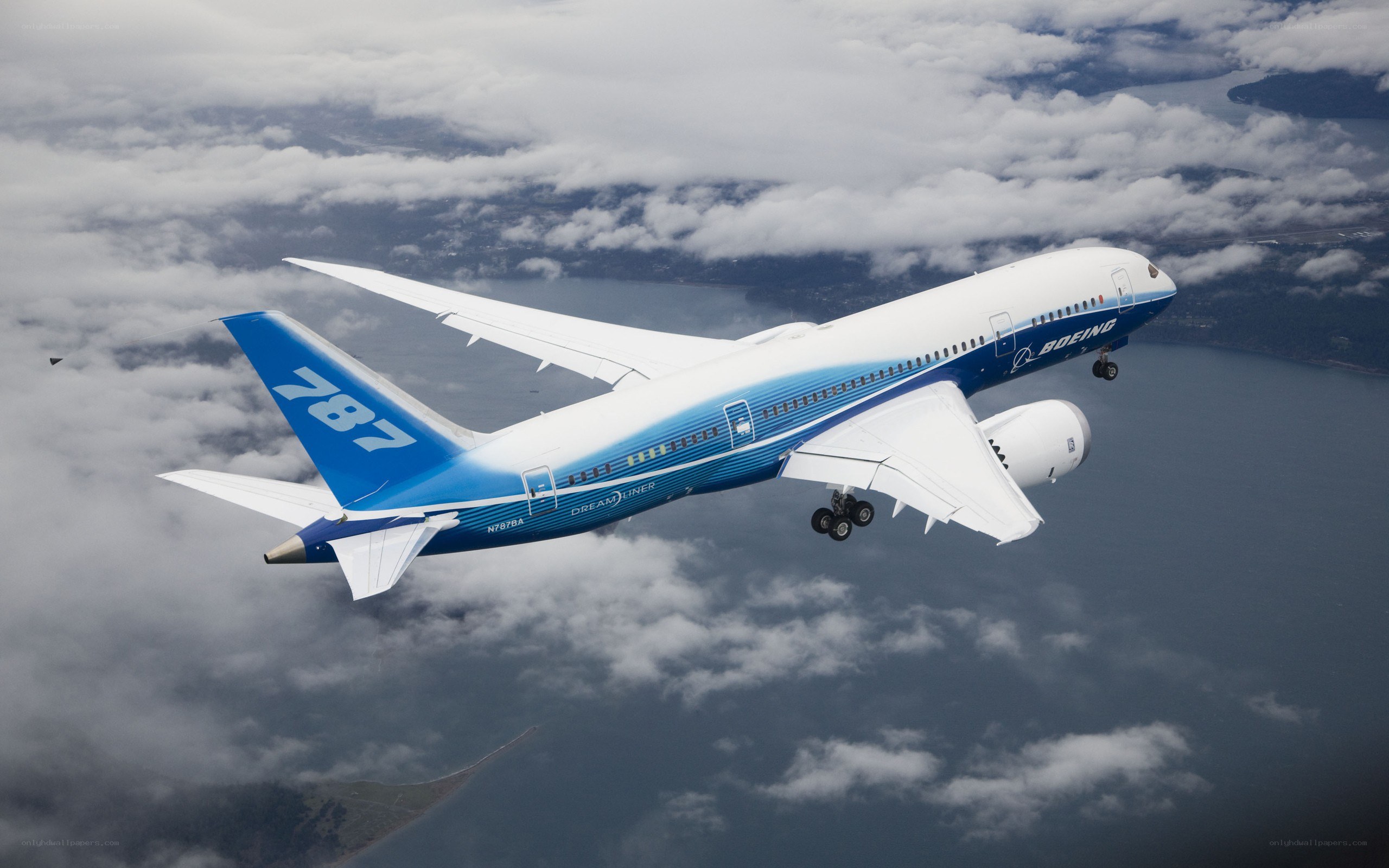 Boeing 787 Dreamliner in flight