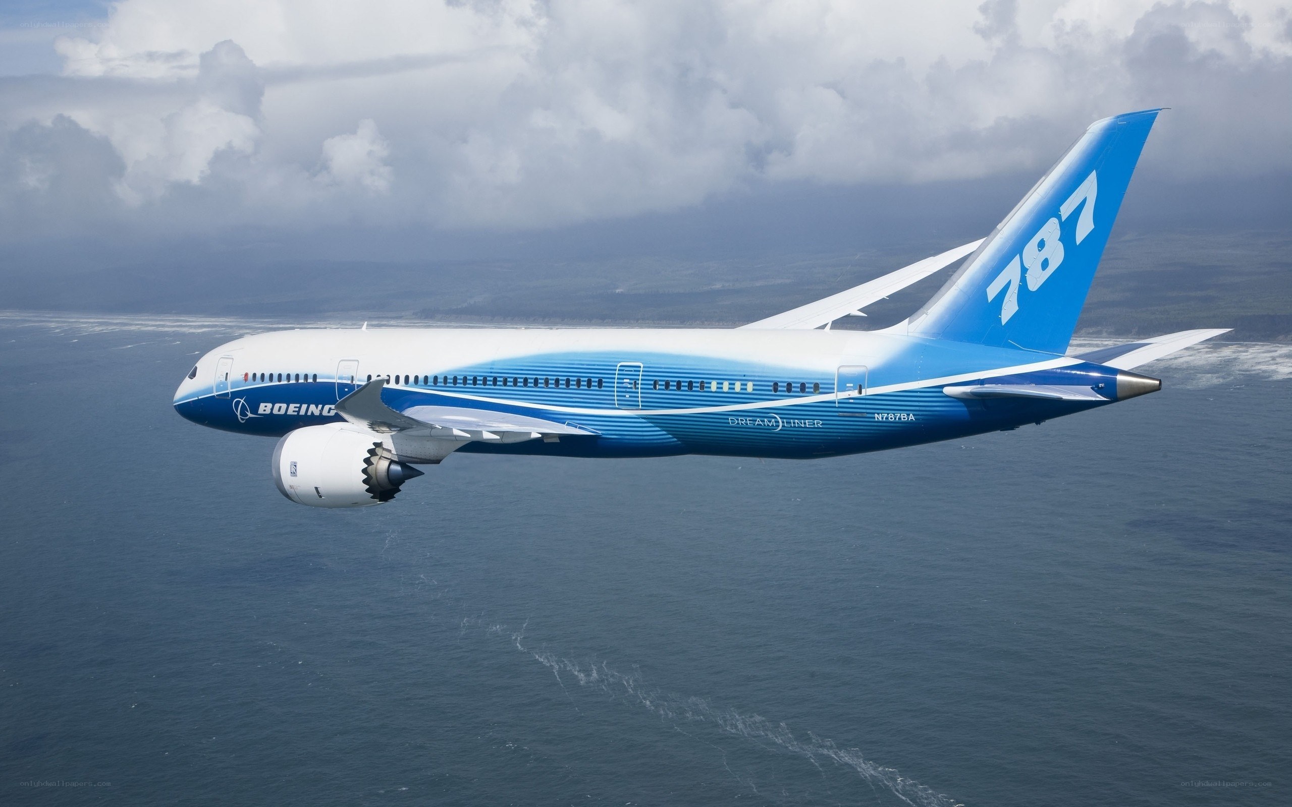 Boeing 787 Dreamliner in flight