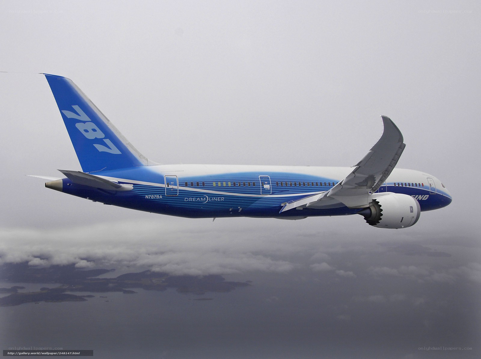 Boeing 787 Dreamliner in flight