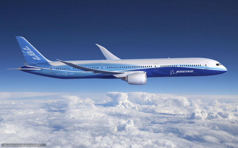 Boeing 787 Dreamliner in flight