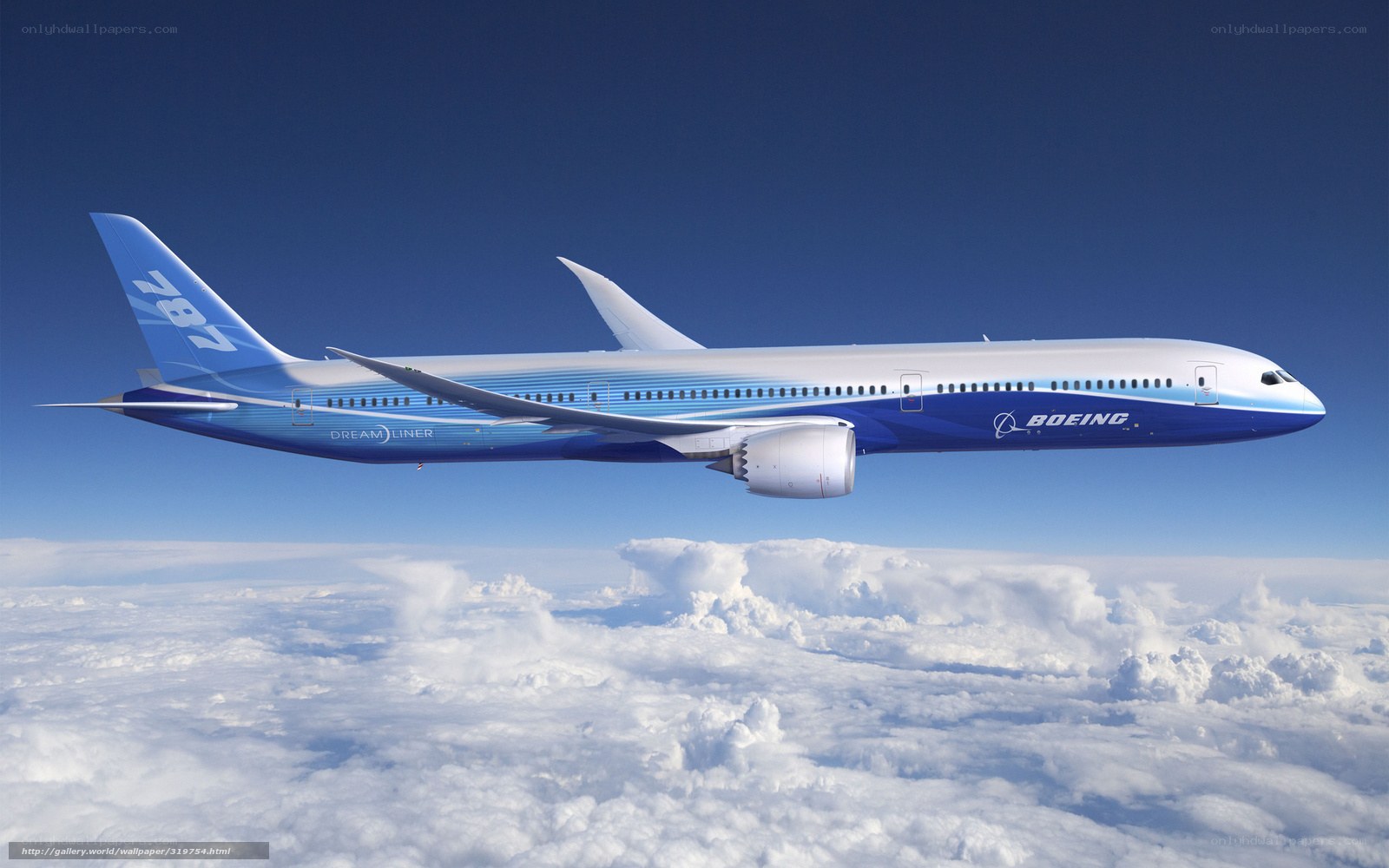 Boeing 787 Dreamliner in flight