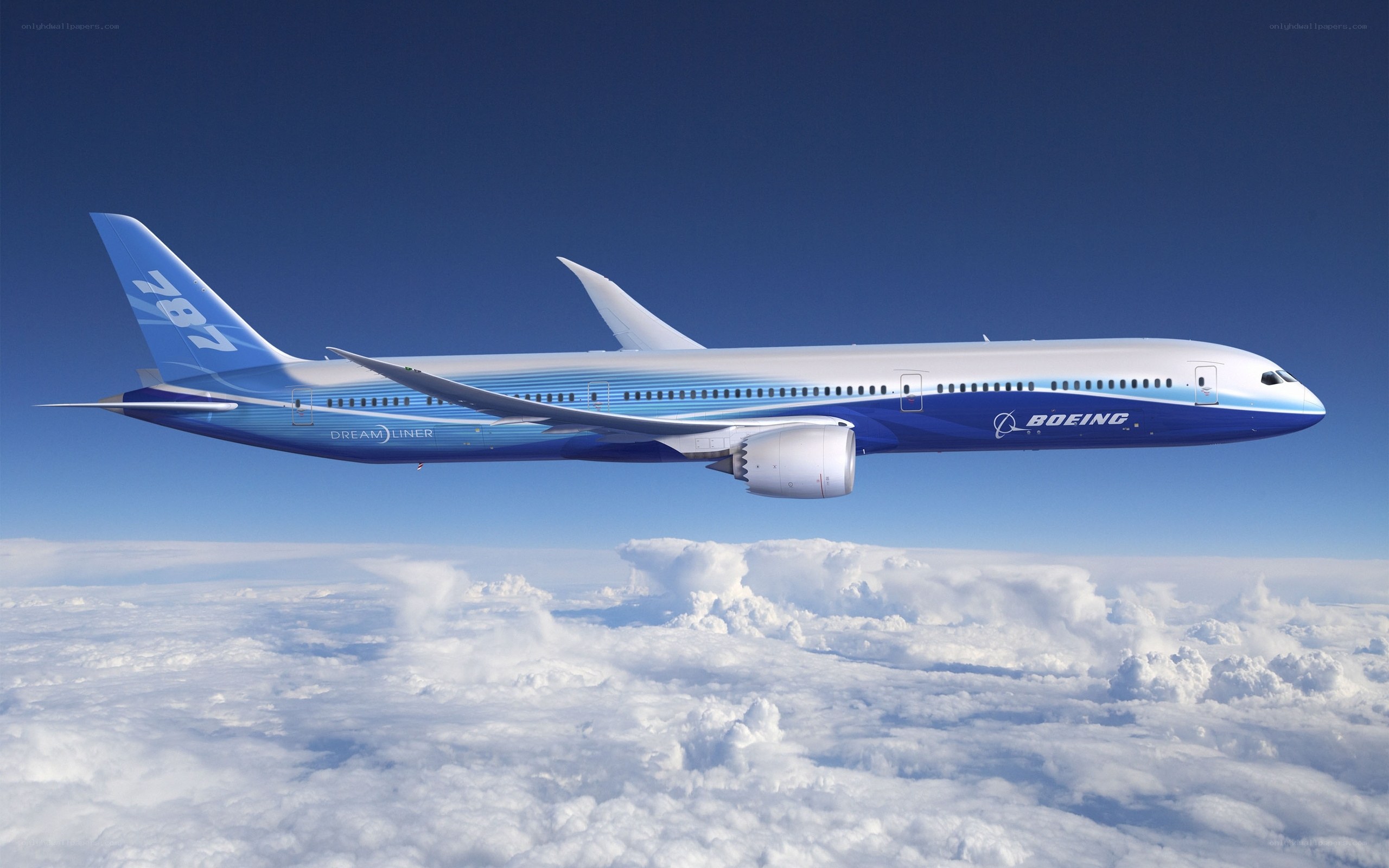 Boeing 787 Dreamliner in flight
