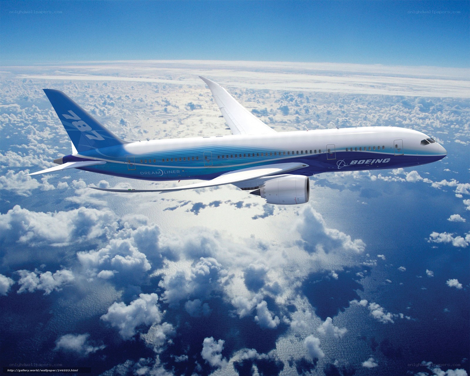 Boeing 787 Dreamliner in flight