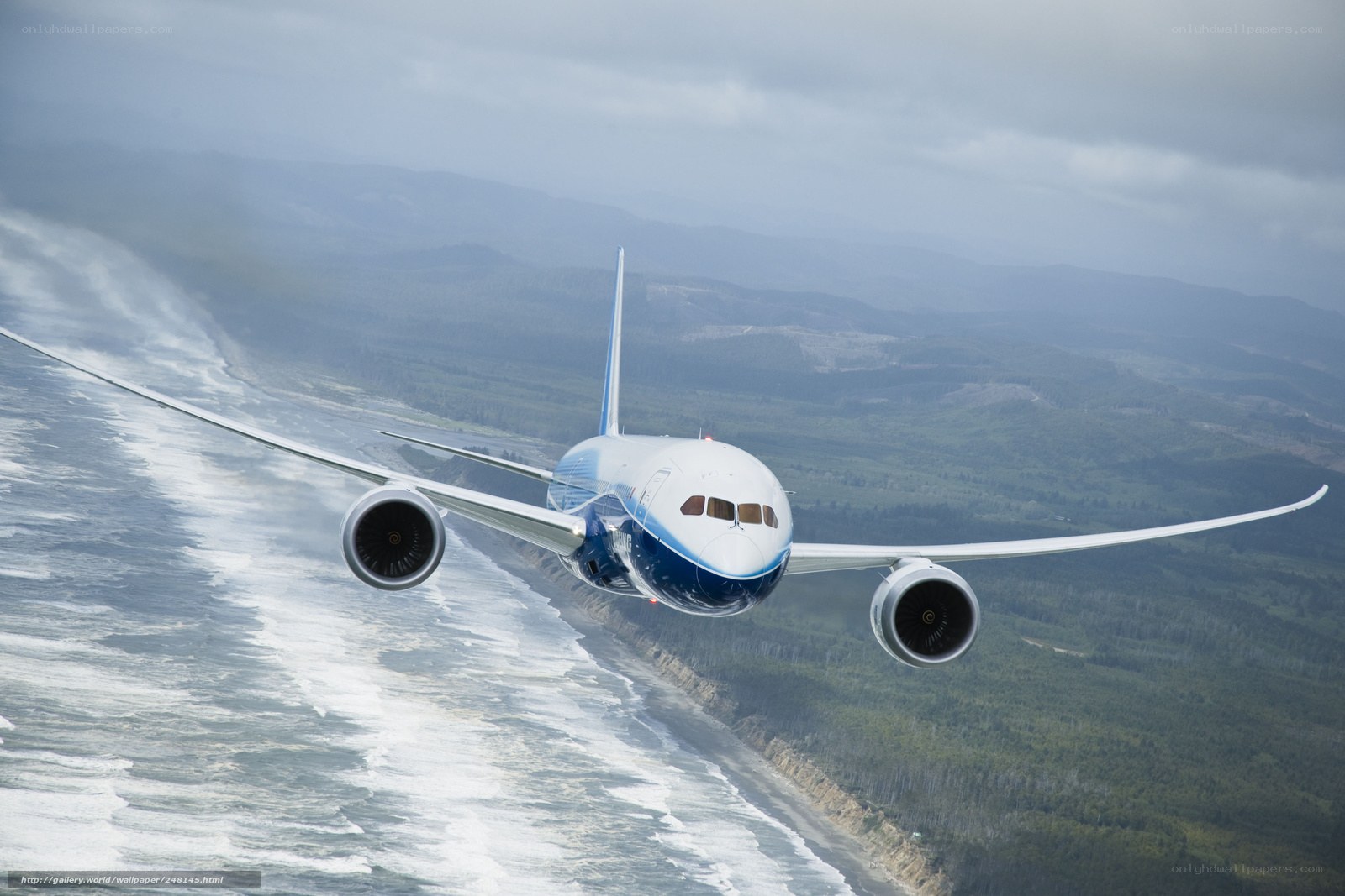 Boeing 787 flying over coast