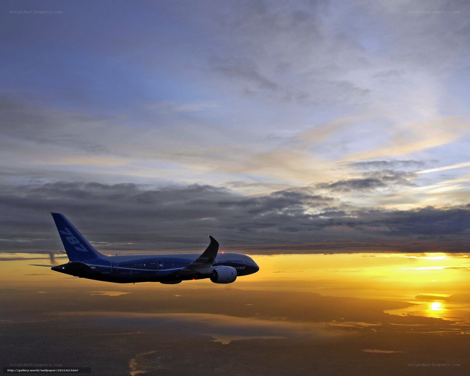 Boeing 787 in sunset flight