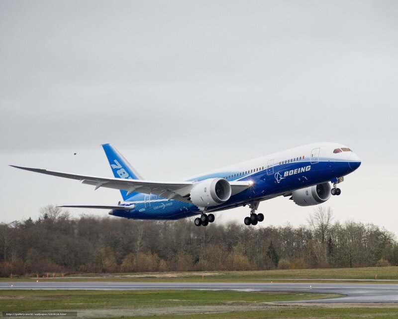 Boeing 787 taking off