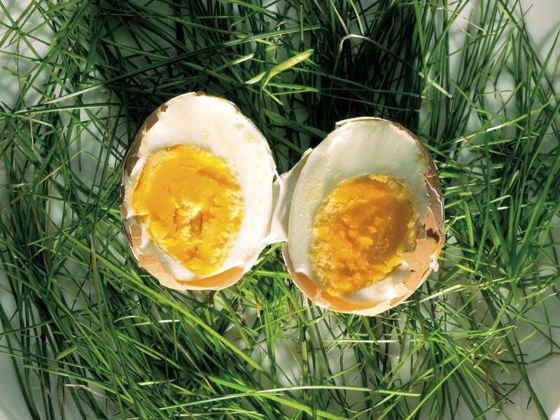 boiled egg on grass