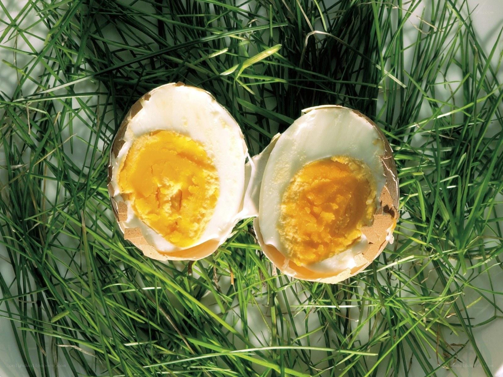 boiled egg on grass