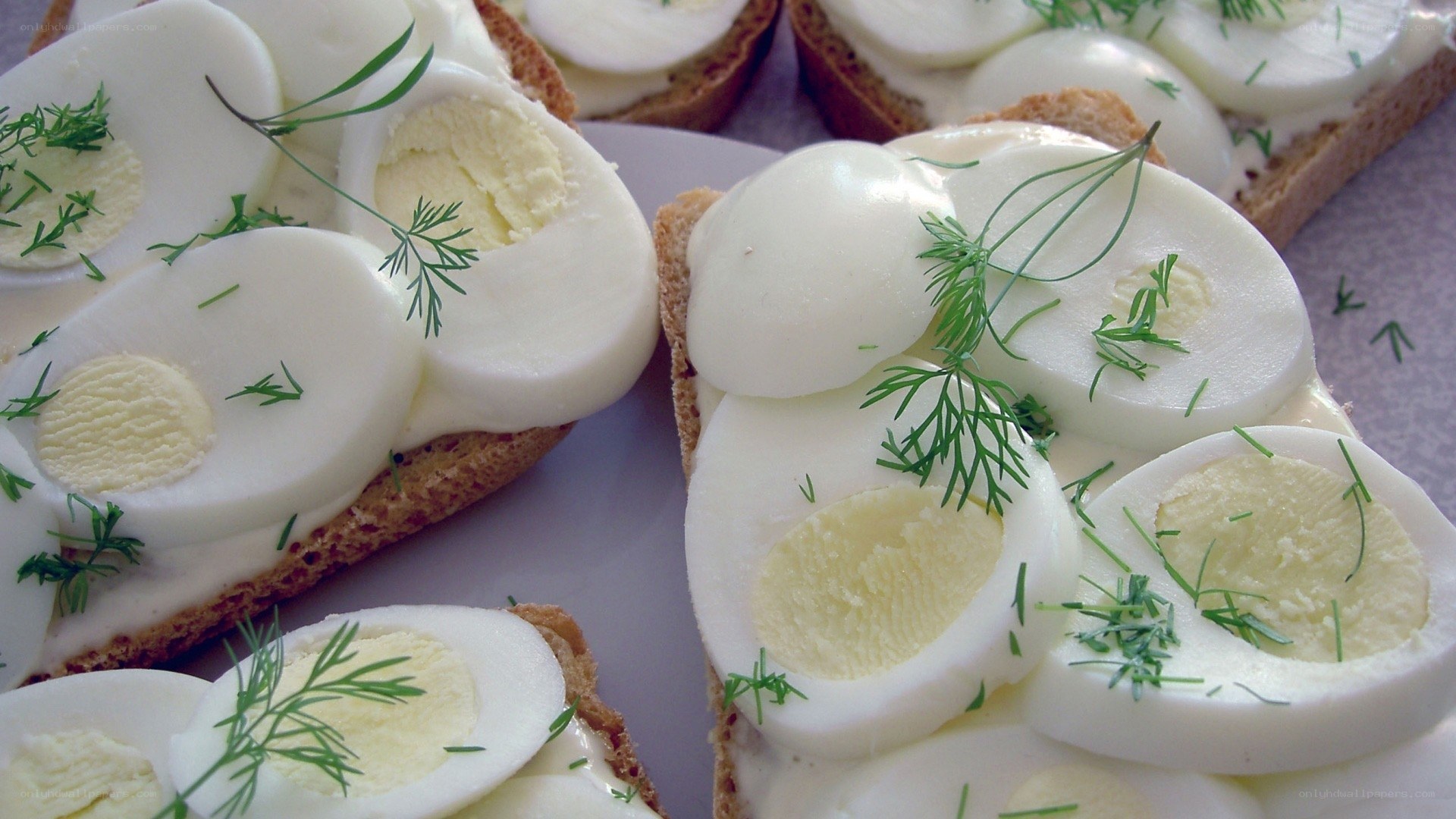 Boiled egg sandwiches with dill