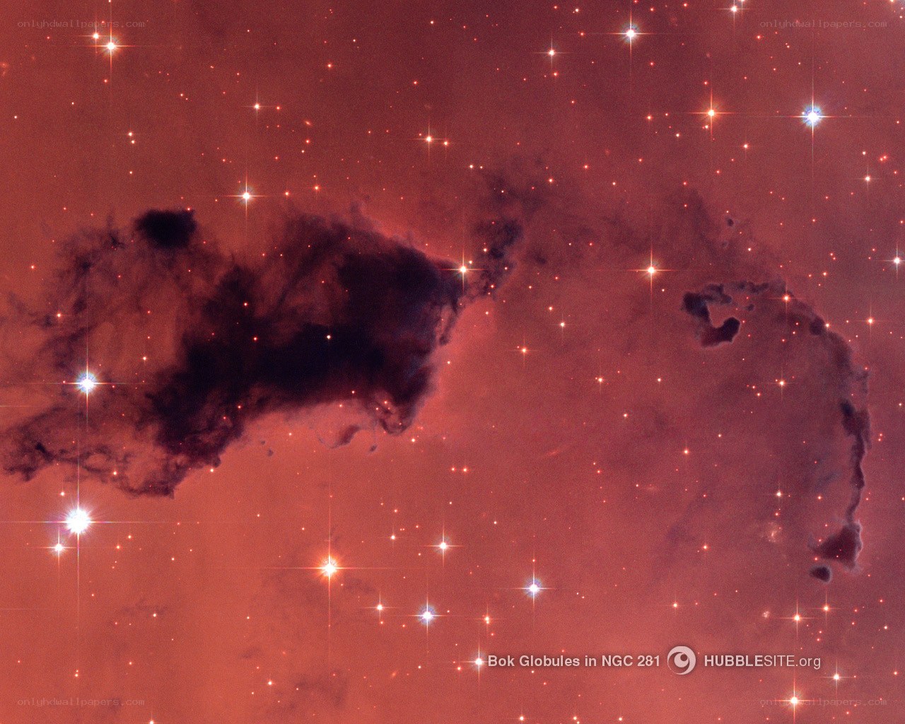 Bok Globules in NGC 281