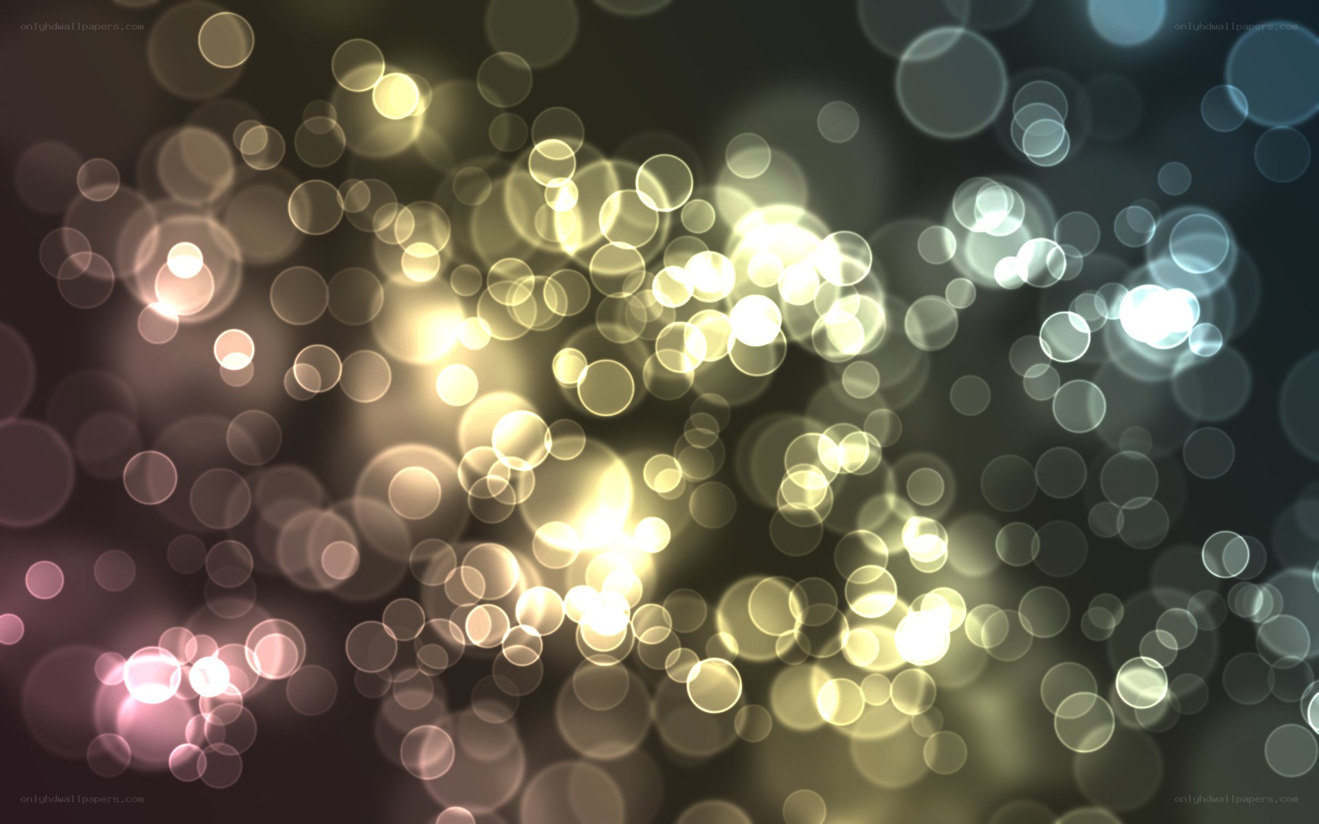 Bokeh light circles