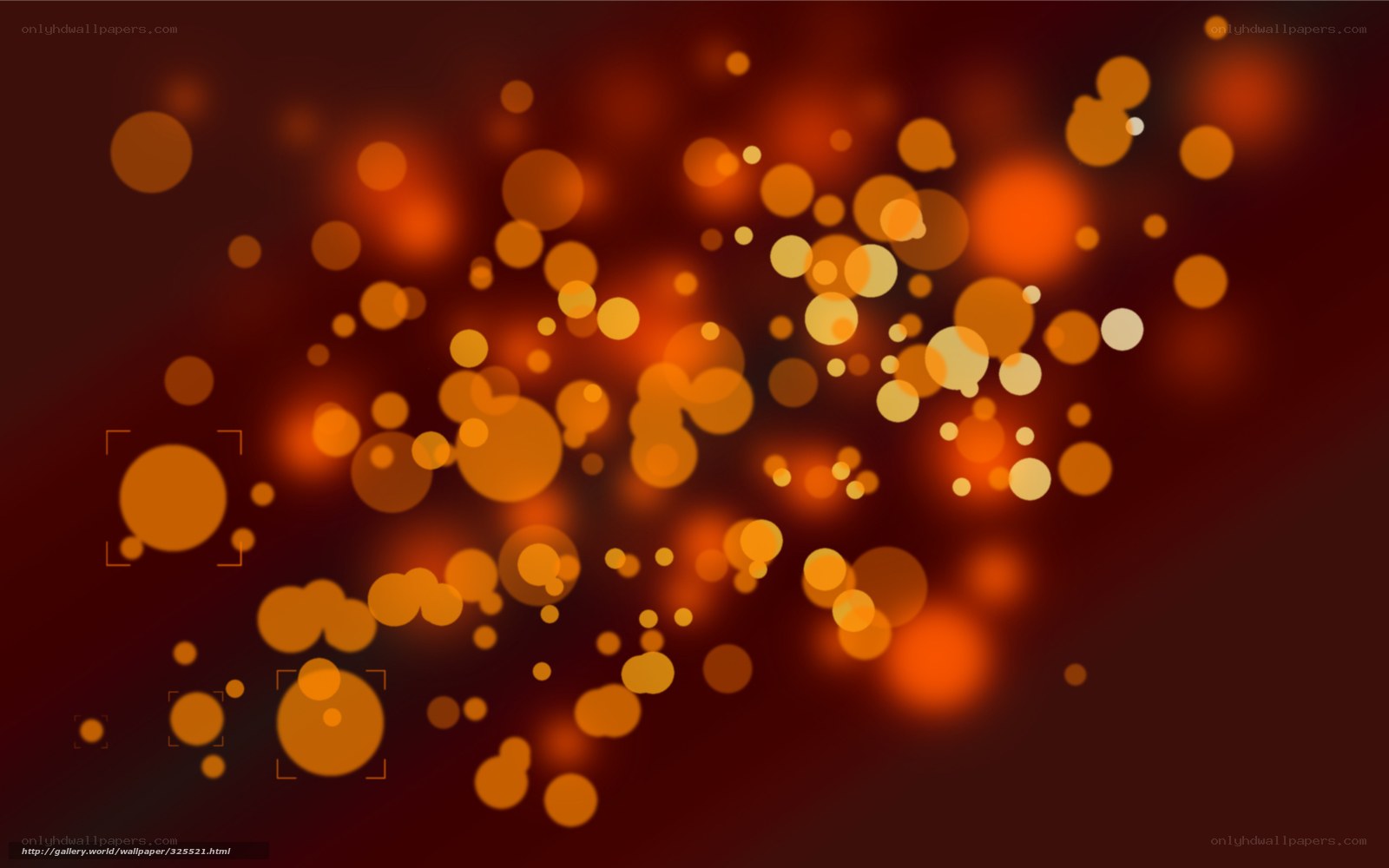 Bokeh light circles