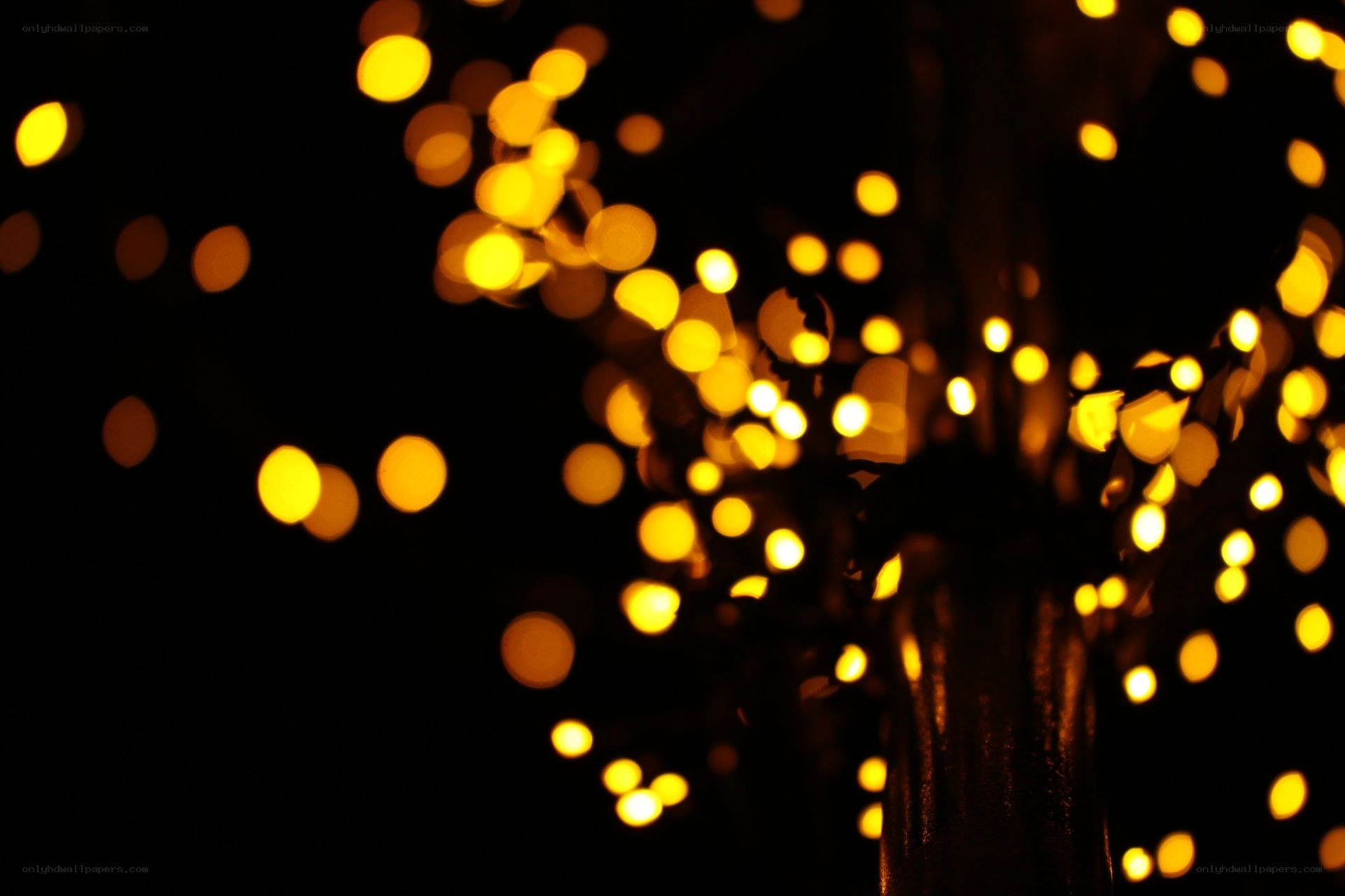 bokeh lights at night