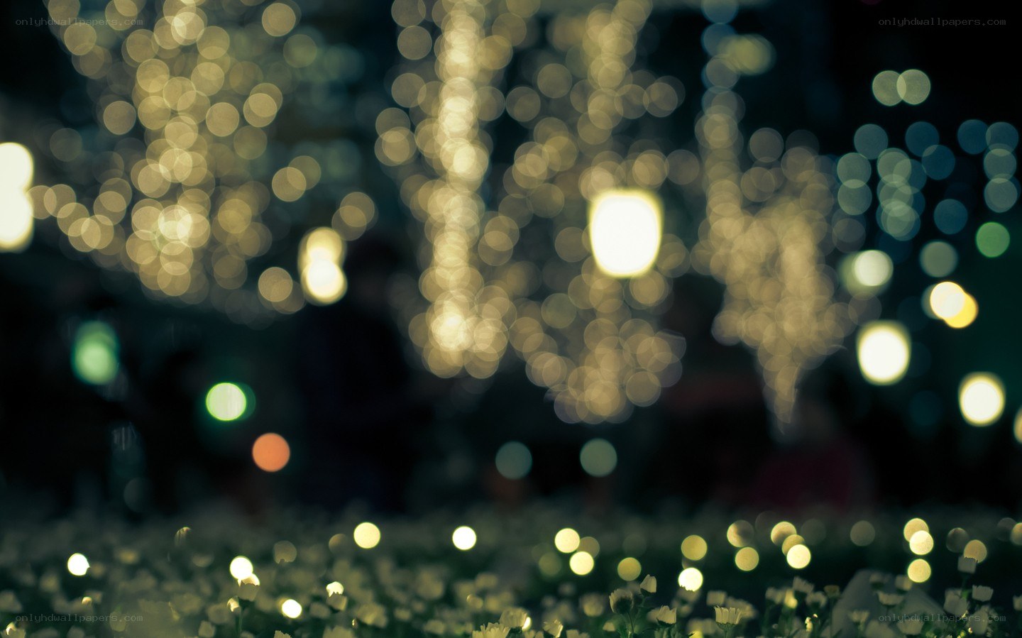 bokeh lights at night