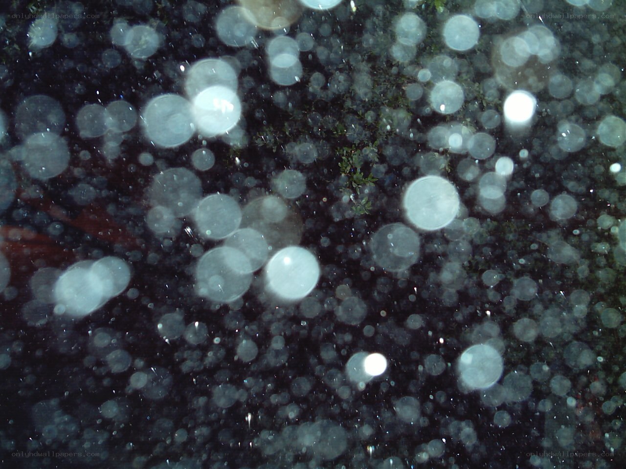Bokeh lights in dark setting