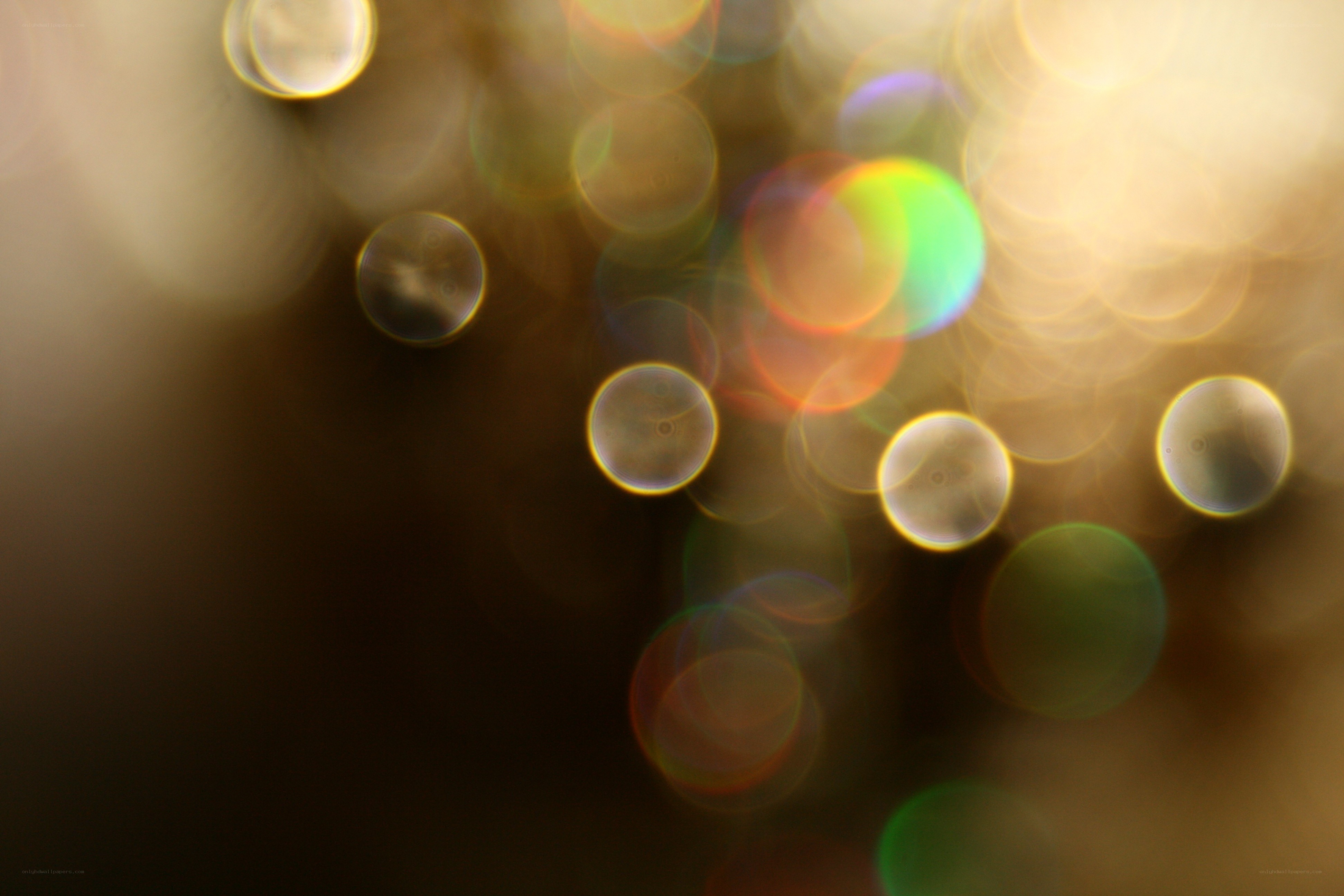 Bokeh lights in warm tones