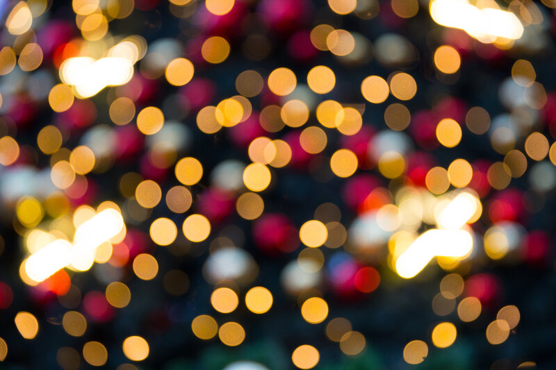bokeh lights on a tree
