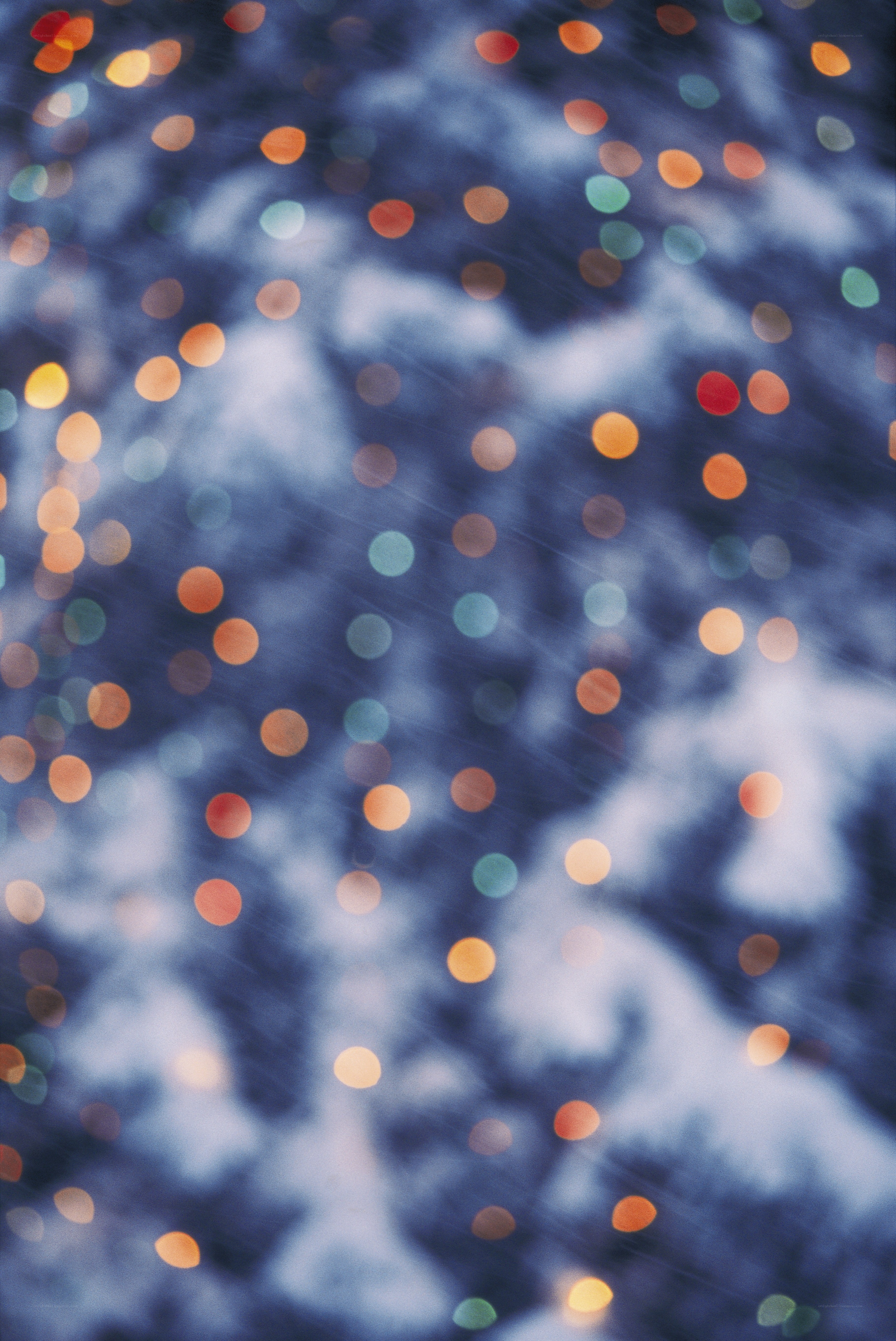bokeh lights on snowy tree