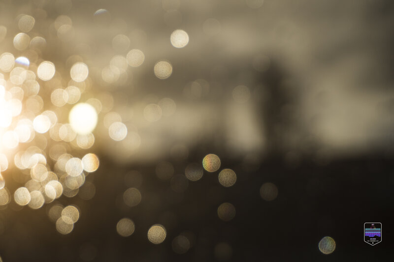Bokeh Lights on Water — Gold