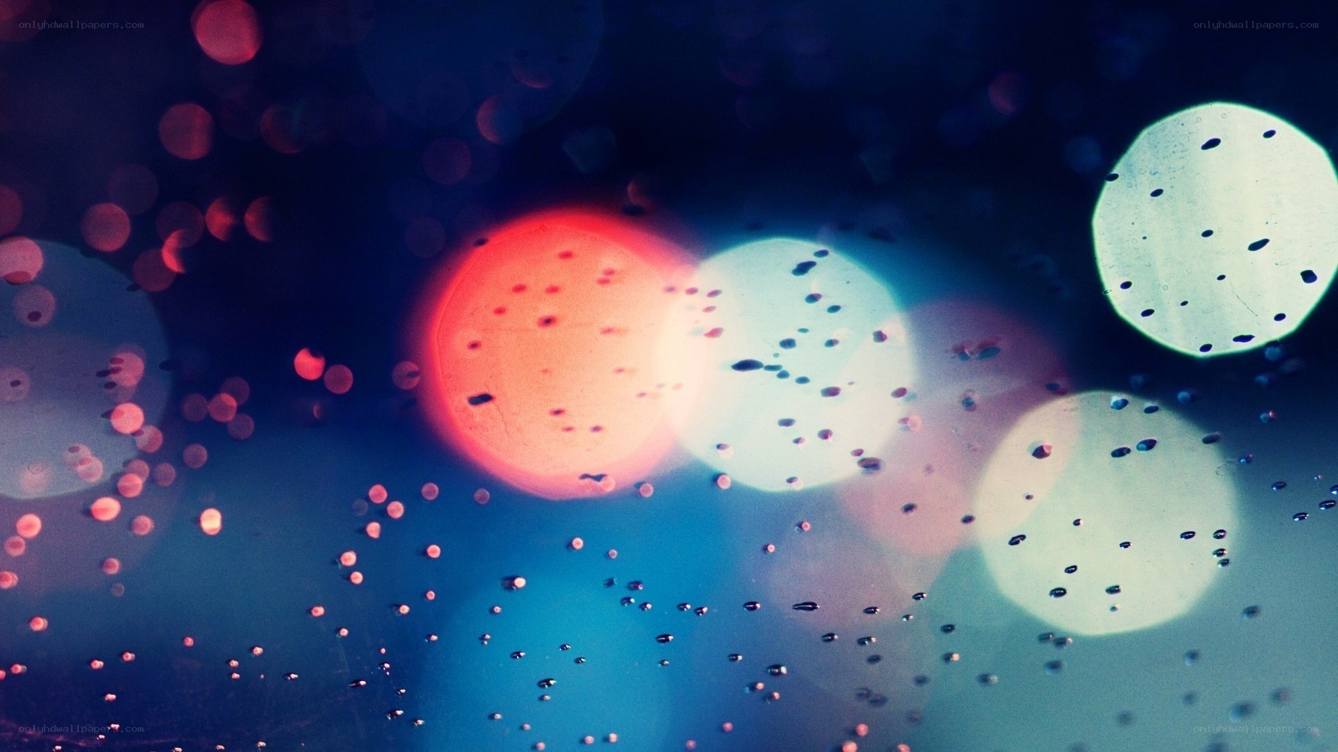bokeh lights through raindrops