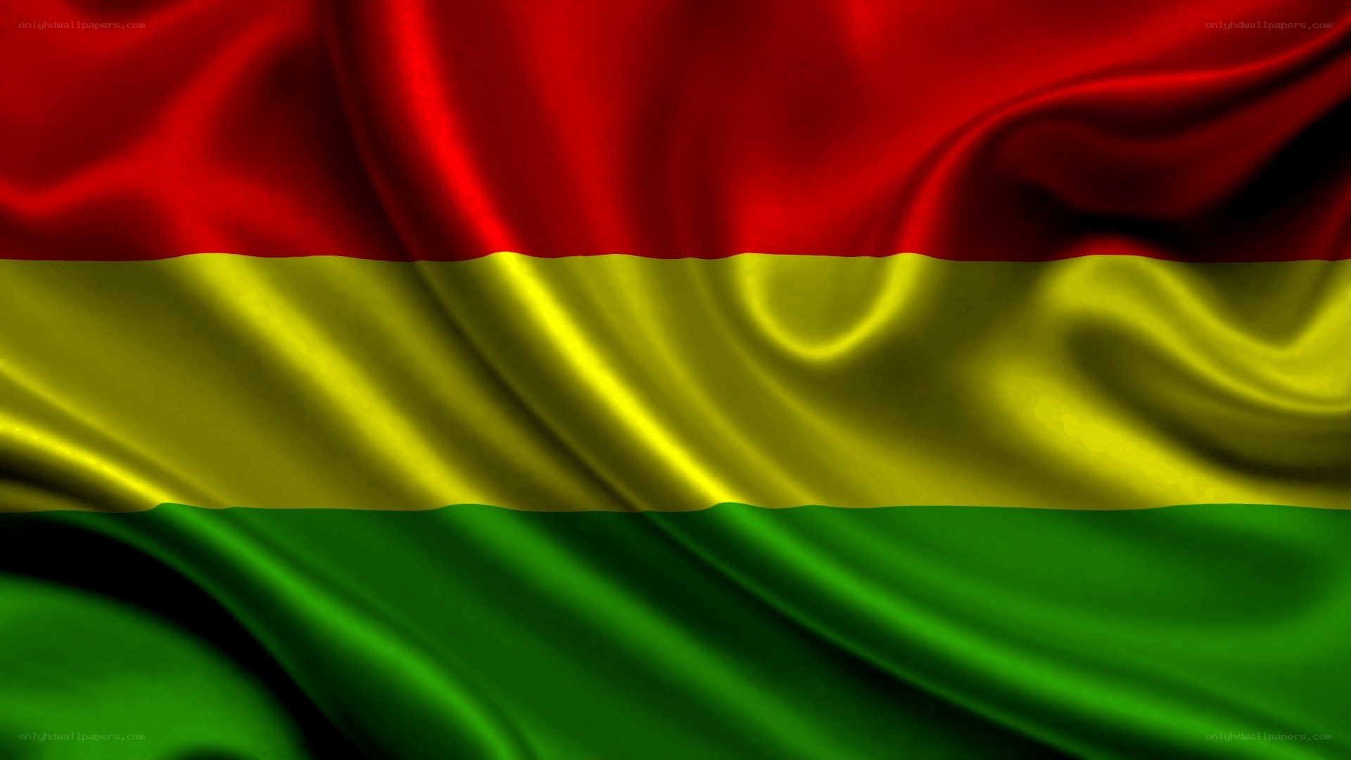 Bolivian flag waving