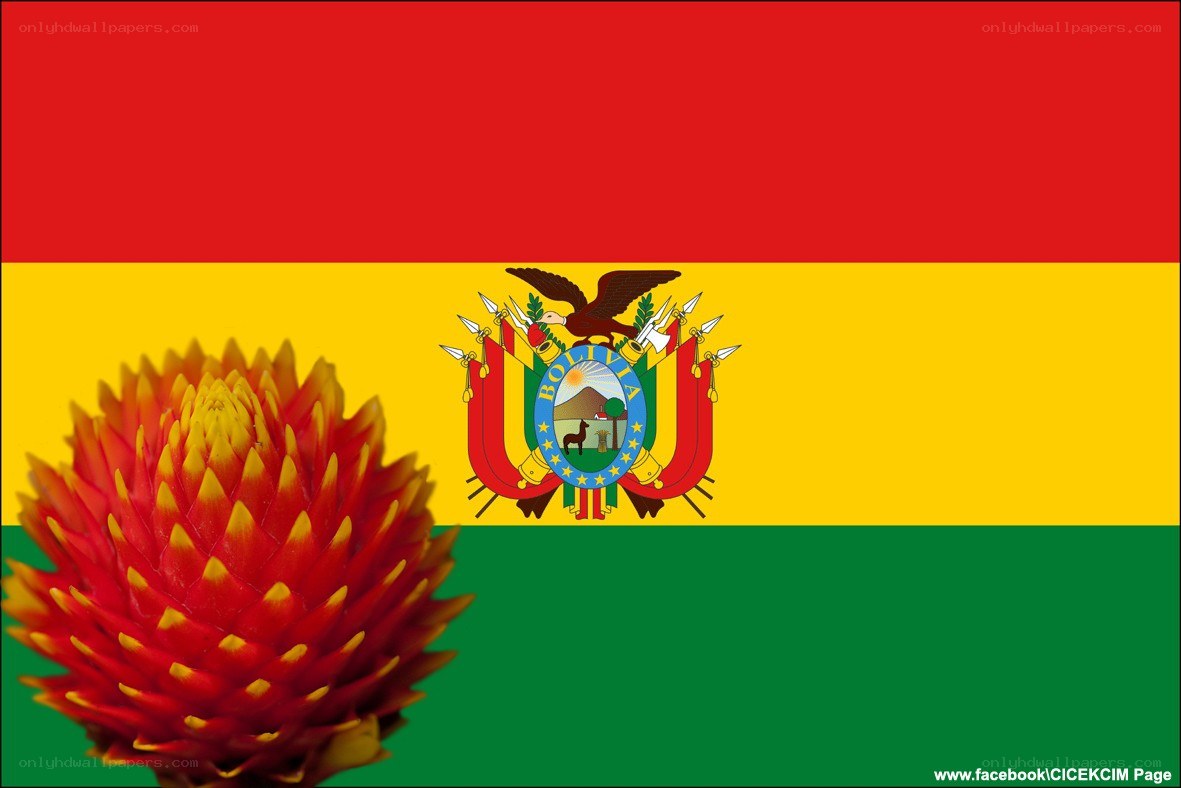 Bolivian flag with flower
