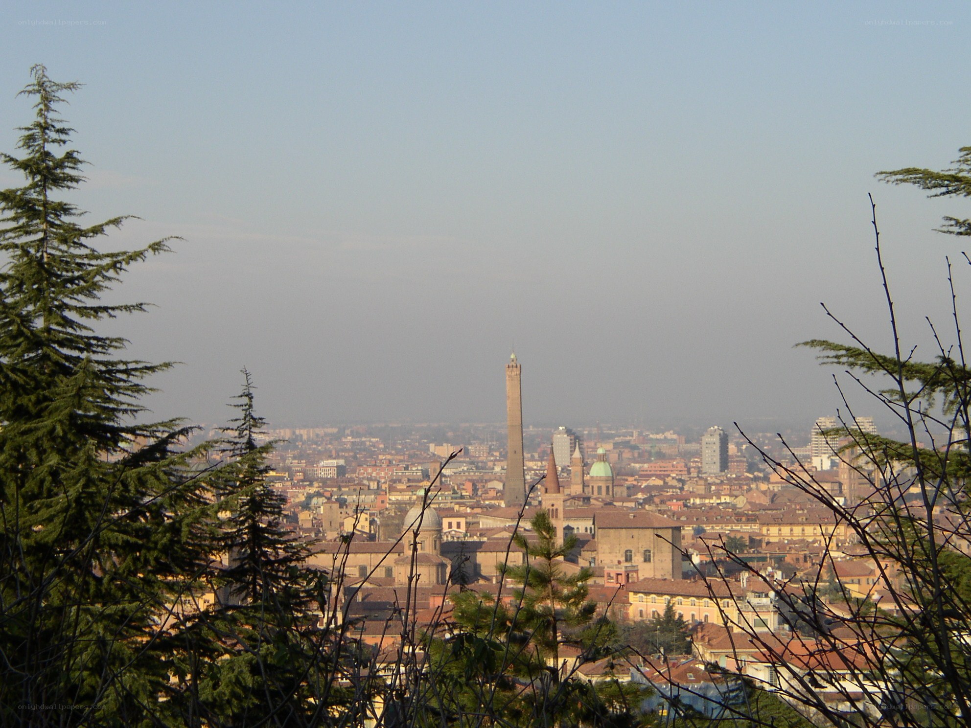 Bologna skyline from a hill