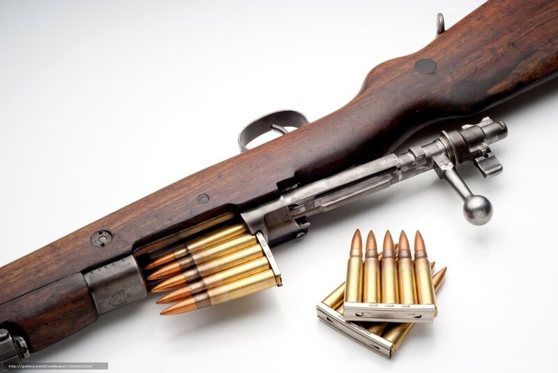 Bolt-action Rifle with Ammunition — Brown, Neutral