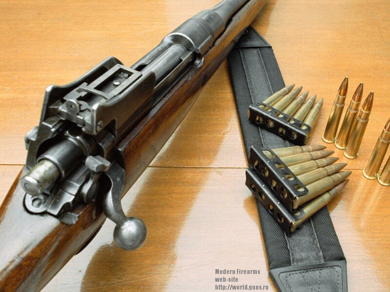 Bolt-action Rifle with Ammunition — Brown
