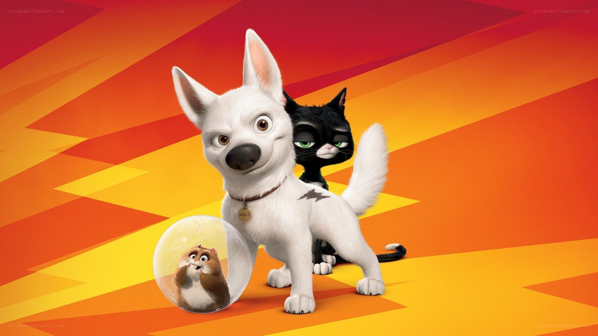 Bolt and his friends