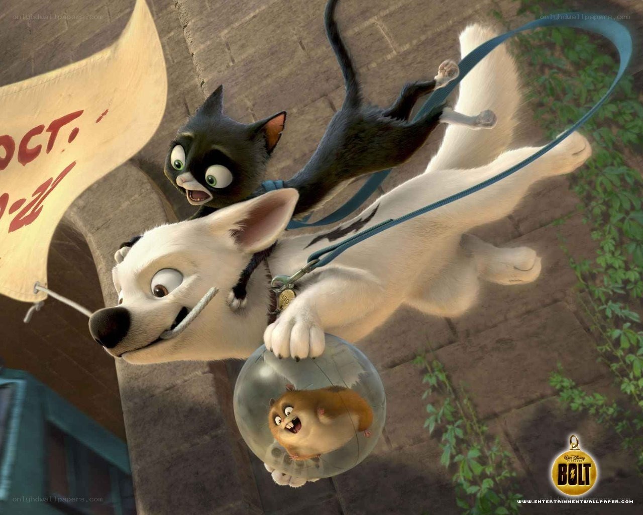Bolt and his friends in action