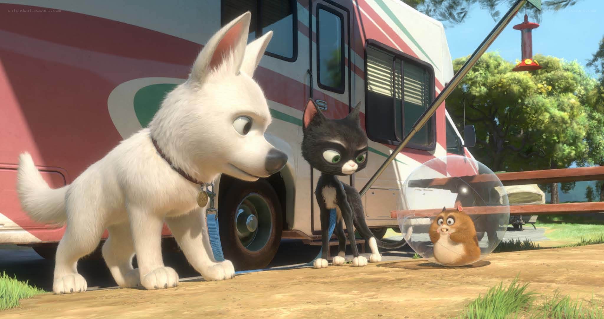 Bolt and his friends
