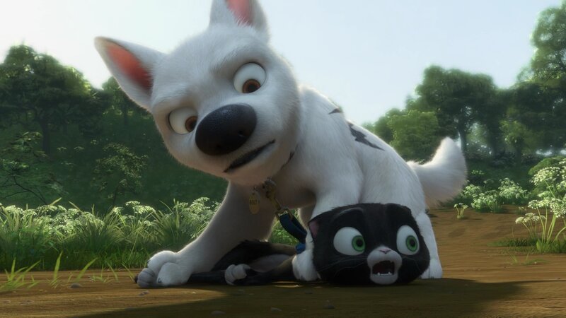Bolt and Mittens in the forest