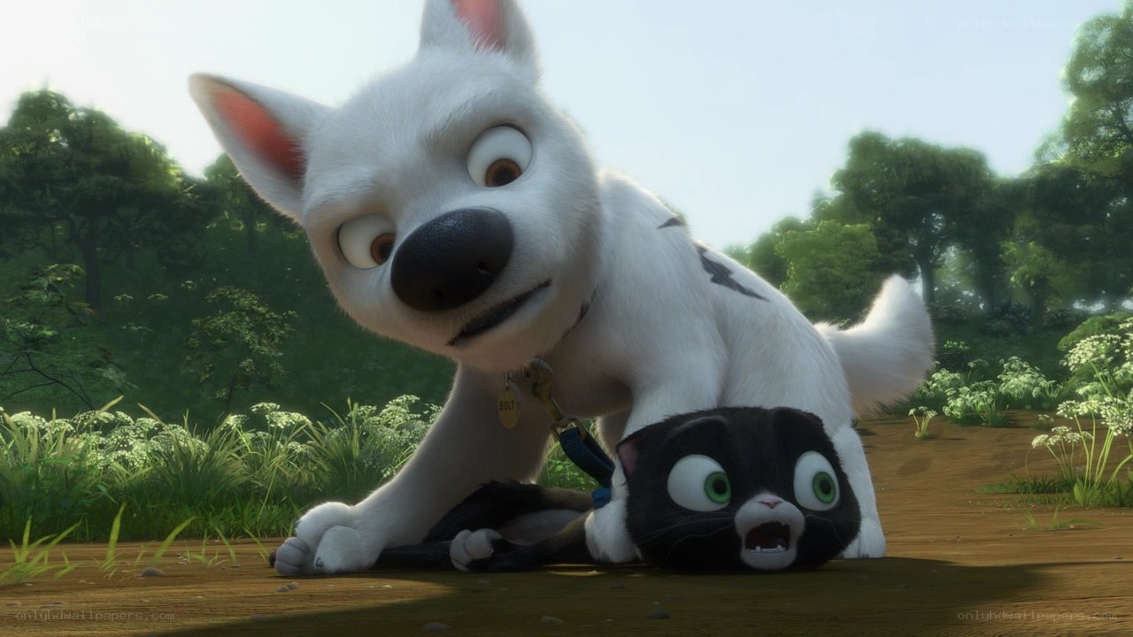 Bolt and Mittens in the forest